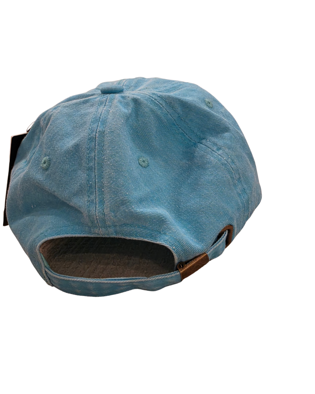 elder millennial dad hat